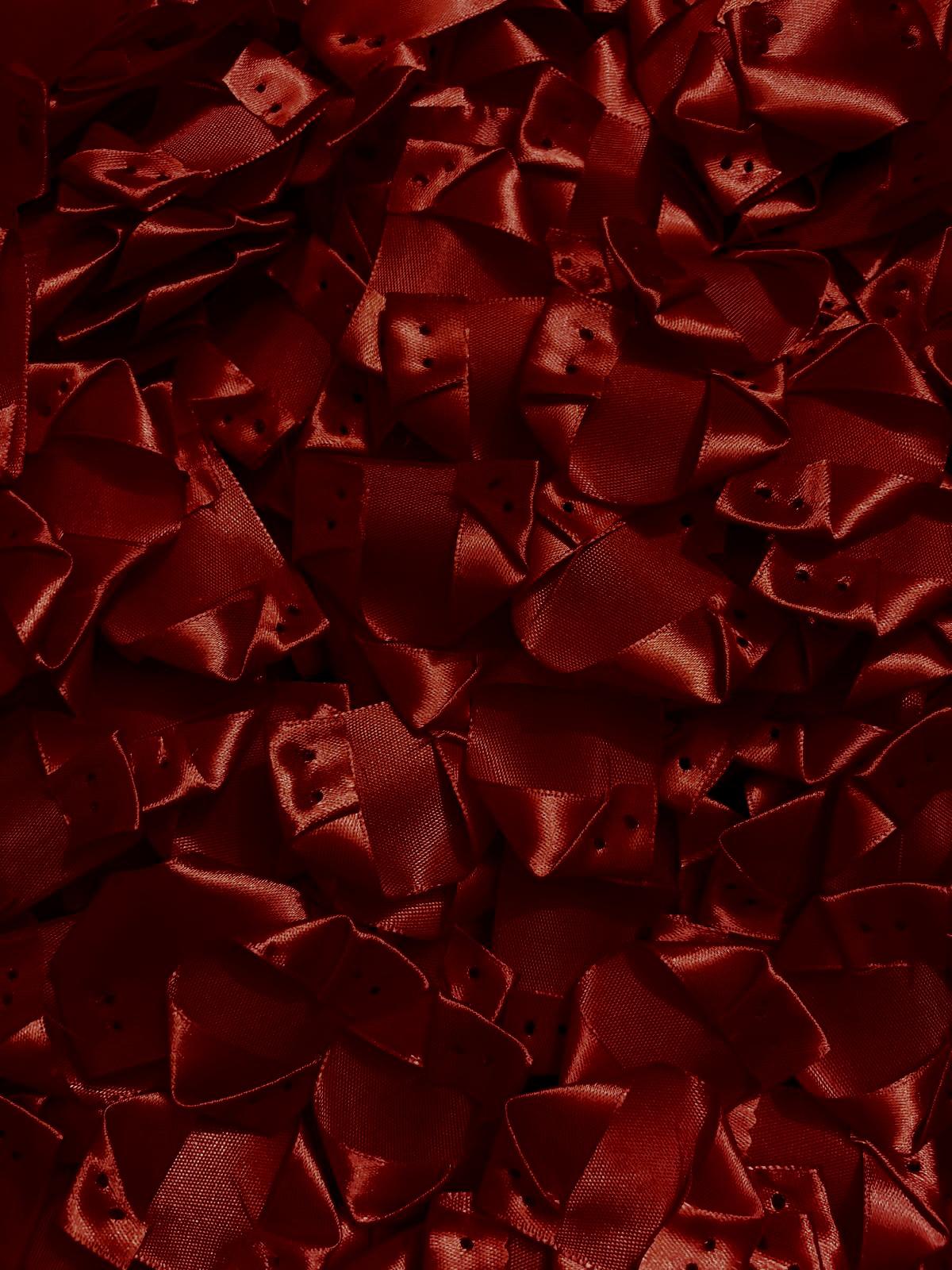Dettaglio rose rosse natalizie